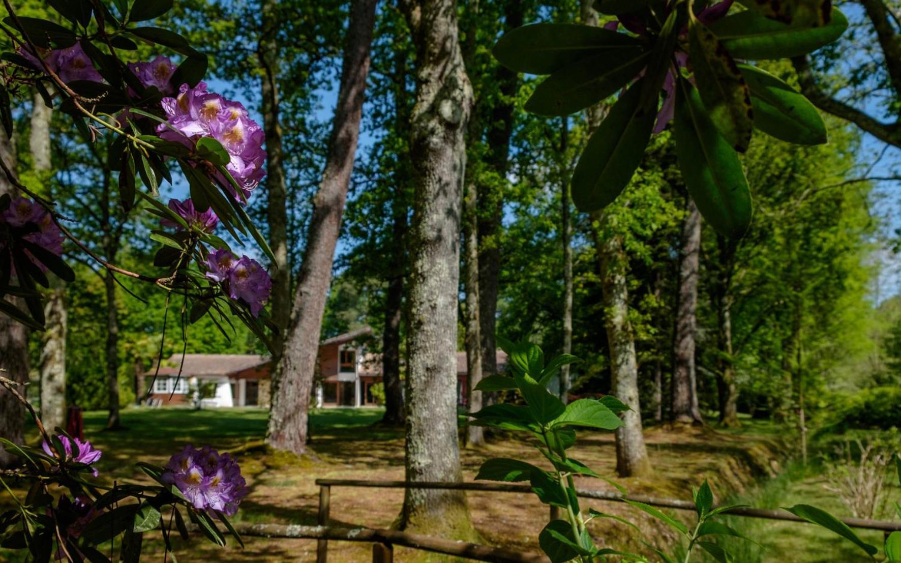 Parc De L'Aiguade Bed and Breakfast Saint-Paul-lès-Dax Εξωτερικό φωτογραφία