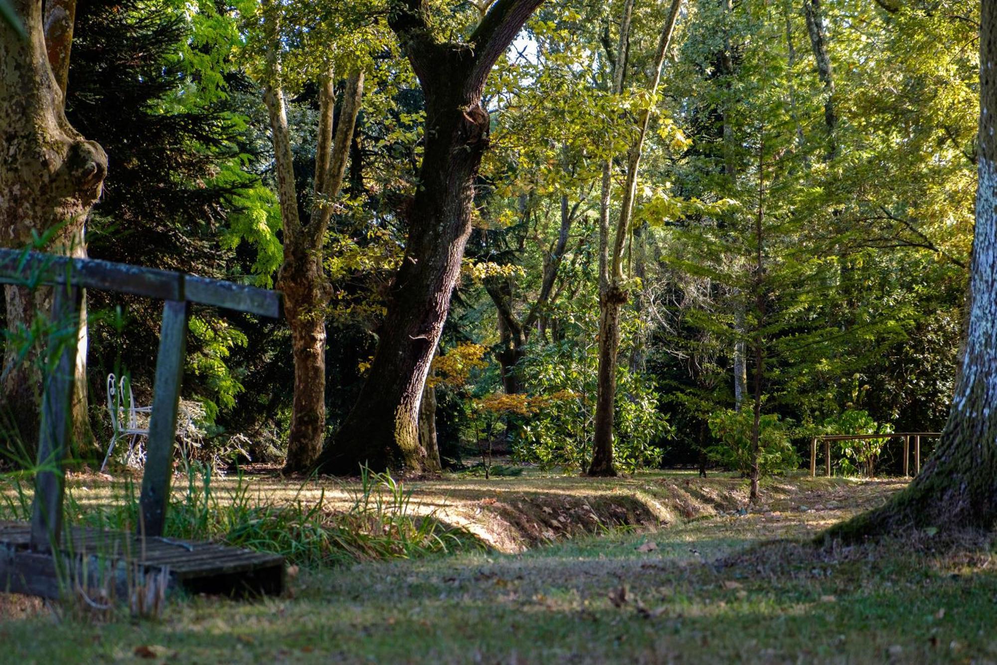 Parc De L'Aiguade Bed and Breakfast Saint-Paul-lès-Dax Εξωτερικό φωτογραφία