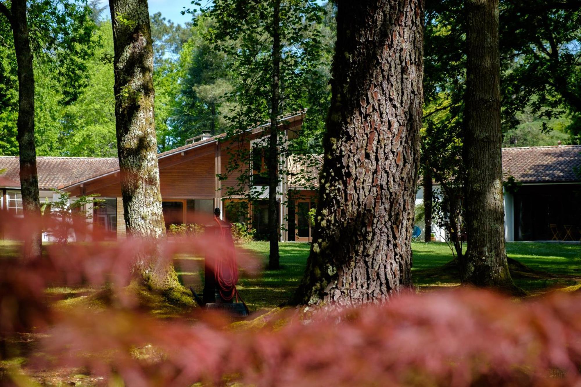 Parc De L'Aiguade Bed and Breakfast Saint-Paul-lès-Dax Εξωτερικό φωτογραφία