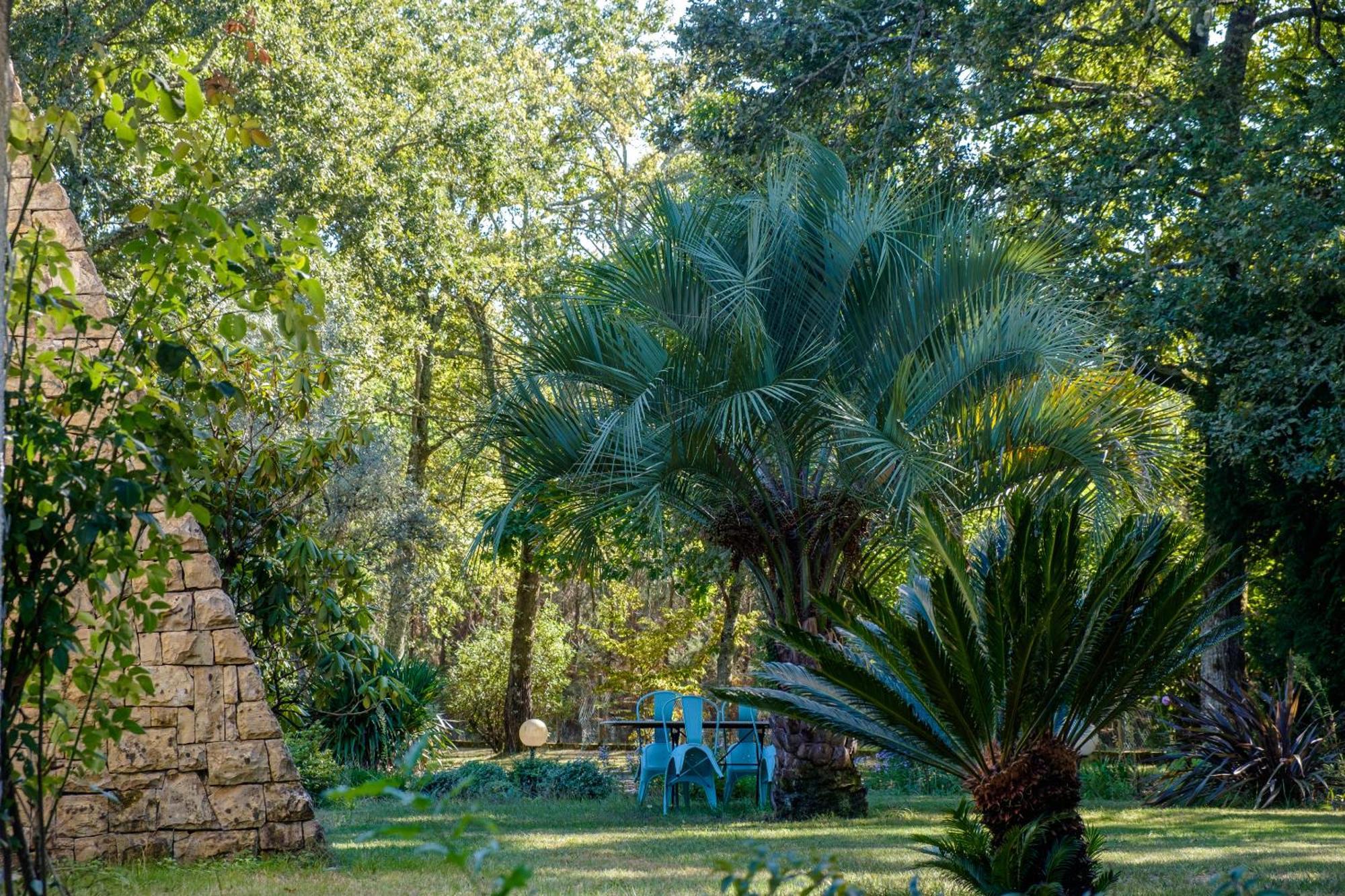 Parc De L'Aiguade Bed and Breakfast Saint-Paul-lès-Dax Εξωτερικό φωτογραφία