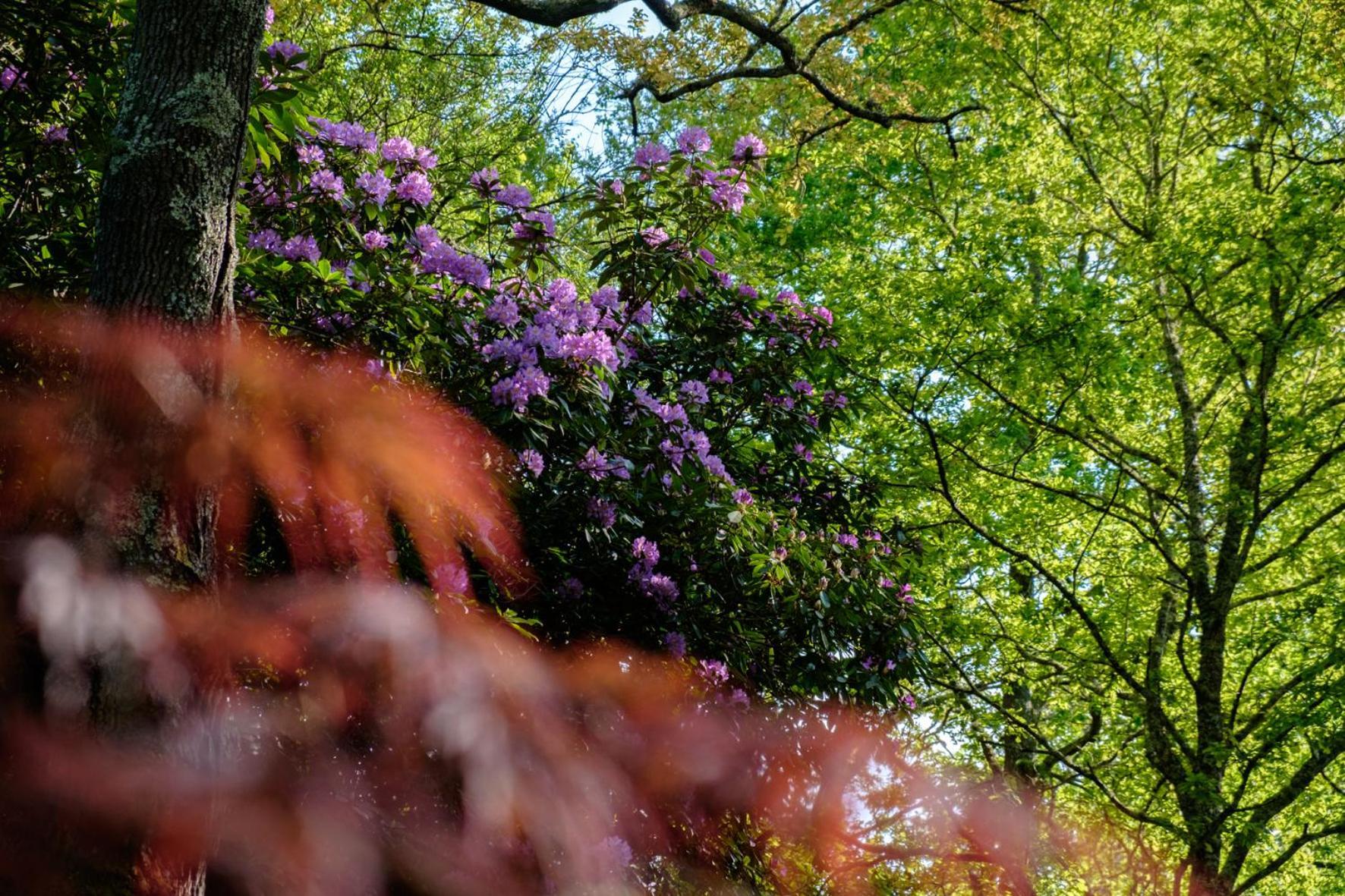 Parc De L'Aiguade Bed and Breakfast Saint-Paul-lès-Dax Εξωτερικό φωτογραφία