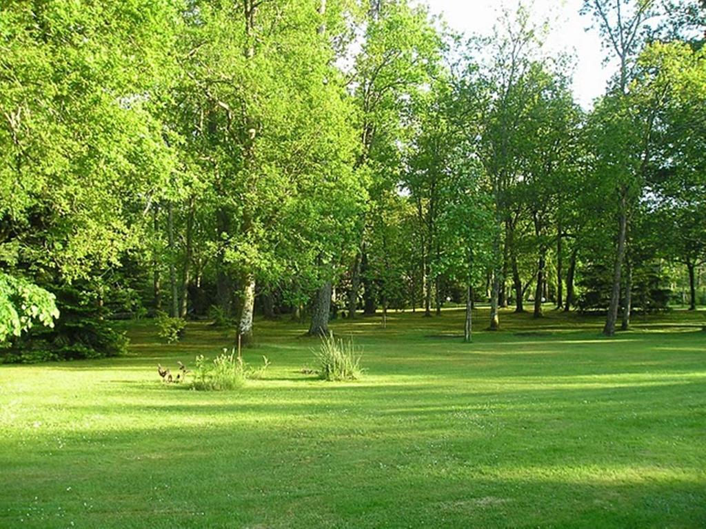 Parc De L'Aiguade Bed and Breakfast Saint-Paul-lès-Dax Δωμάτιο φωτογραφία