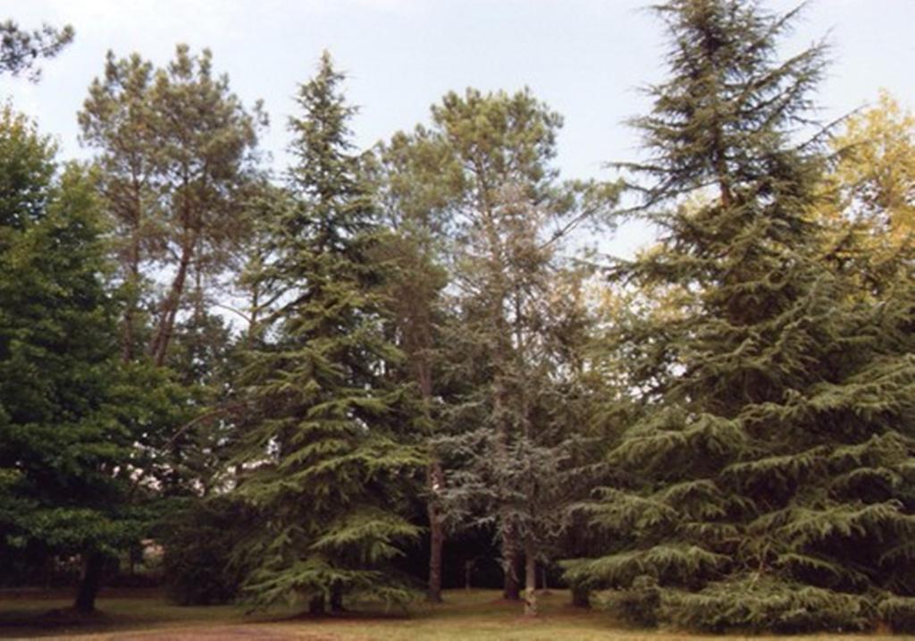 Parc De L'Aiguade Bed and Breakfast Saint-Paul-lès-Dax Εξωτερικό φωτογραφία
